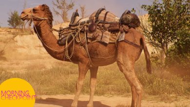 Gamer Con gera polêmica, mas fãs se divertem com camelos