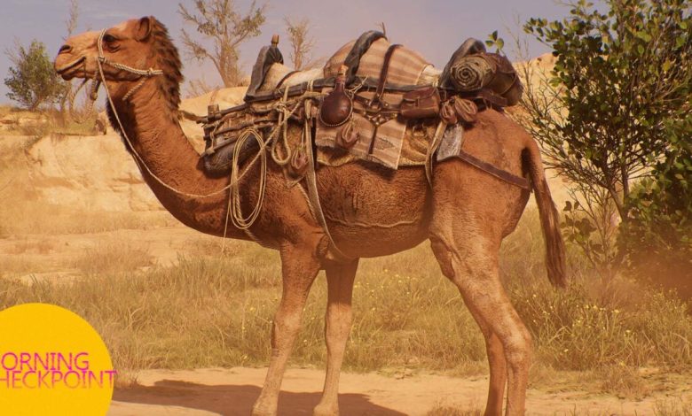 Gamer Con gera polêmica, mas fãs se divertem com camelos