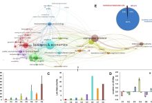 Deep learning propõe estrutura para confiar na AI