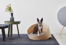 Design moderno eleva produtos para pets em 10 ideias práticas