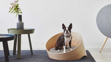 Design moderno eleva produtos para pets em 10 ideias práticas
