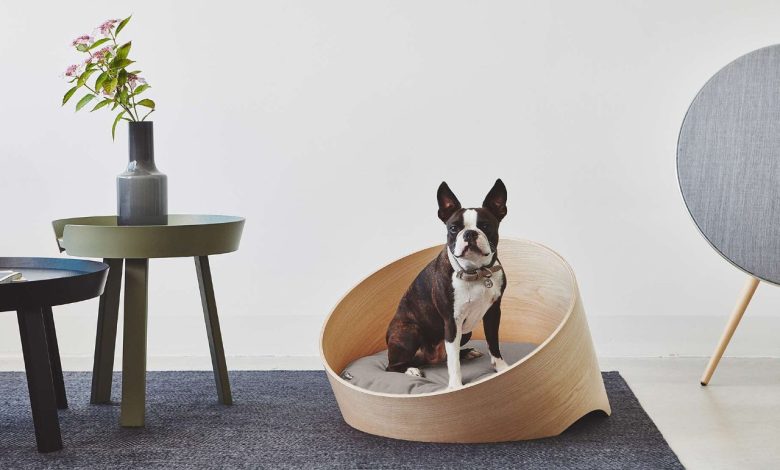 Design moderno eleva produtos para pets em 10 ideias práticas