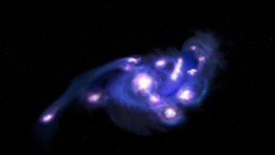 NASA descobre galáxia 'Cosmic Grapes' no início do universo