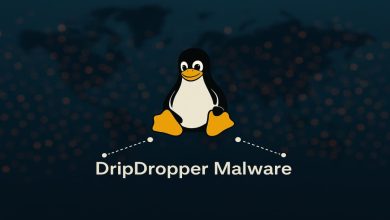 DripDropper malware explora vulnerabilidade e isola rivais