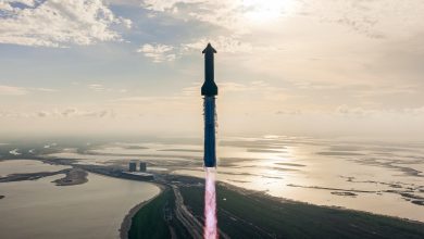 SpaceX completa objetivos do foguete Starship em teste 10