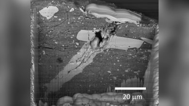 NASA coloca asteroide Bennu em foco na foto do dia