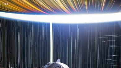 Astronauta da ISS captura trilhas de estrelas em foto espetacular