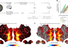 LLM iguala percepções humanas em cenas cotidianas