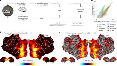LLM iguala percepções humanas em cenas cotidianas