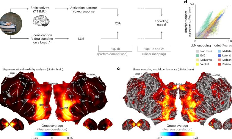LLM iguala percepções humanas em cenas cotidianas