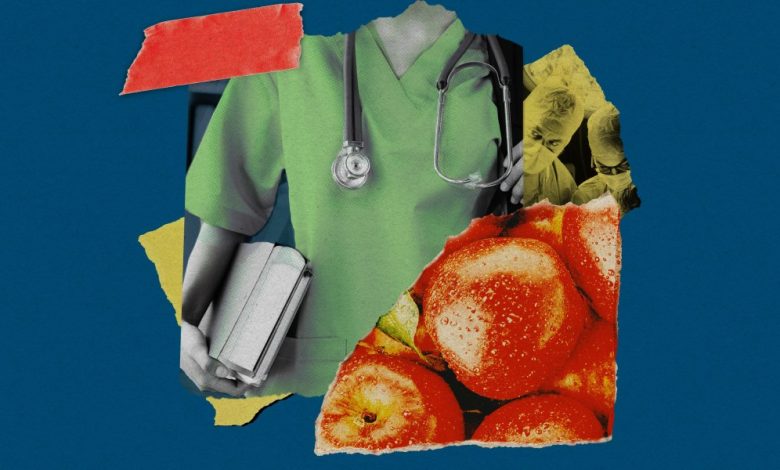 Análise da dieta americana: terapia genética em foco