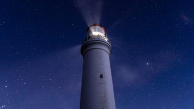 Modelos de machine learning aprendem o sinal verdadeiro
