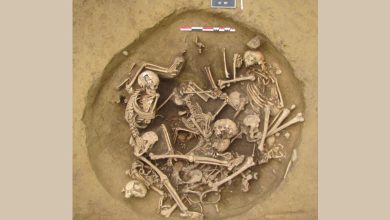 Evidências sobre brutalidade na Idade da Pedra e cultura geek