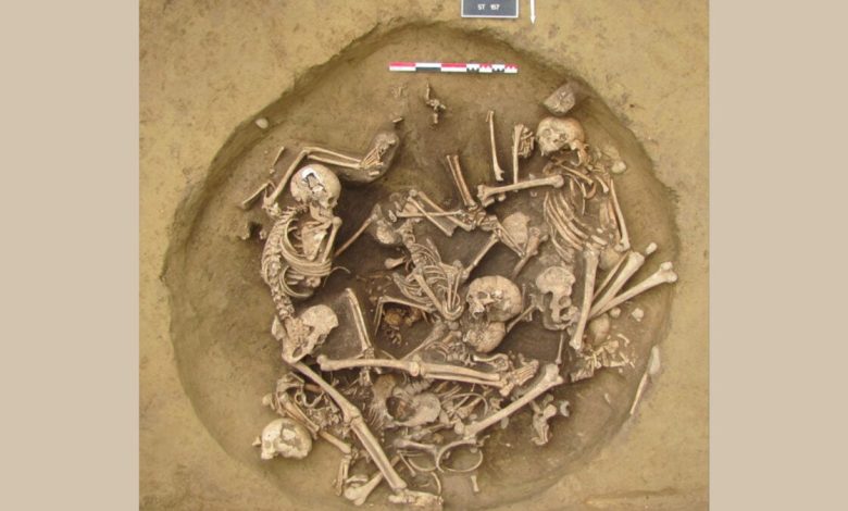 Evidências sobre brutalidade na Idade da Pedra e cultura geek