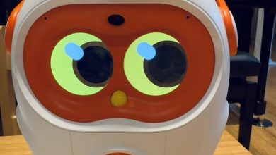 Machine learning se integra à vida familiar na assistência