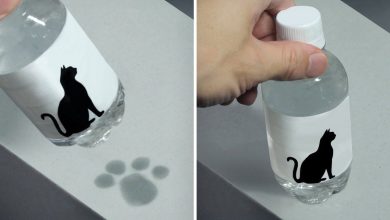 Design inova com garrafa que deixa pegadas fofas