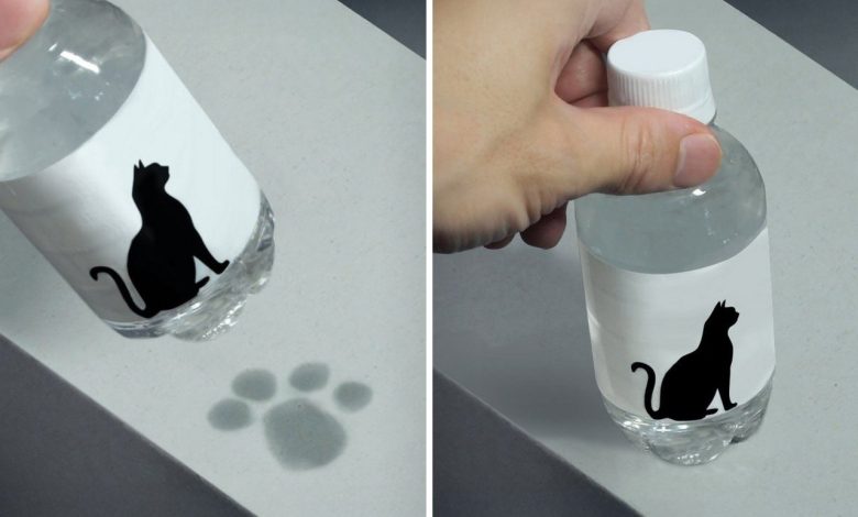 Design inova com garrafa que deixa pegadas fofas