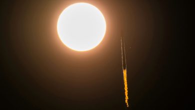 SpaceX lança 28 satélites Starlink em órbita terrestre