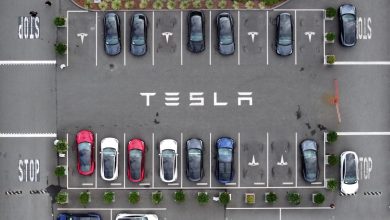 Tesla aposta em mobilidade com novo serviço de carona
