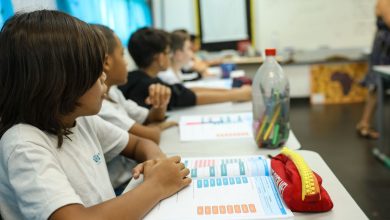 MEC deve priorizar alfabetização na educação básica