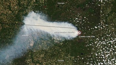 NASA utiliza satélites para mapear plumas de fumaça em 3D