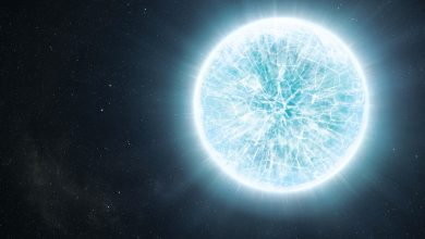 Estudo investiga como estrelas gigantes se formam no espaço