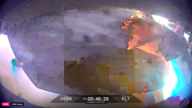 SpaceX conclui investigação sobre falhas no foguete Starship