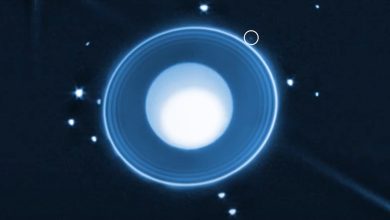 NASA descobre pequeno satélite em órbita de Urano com Webb