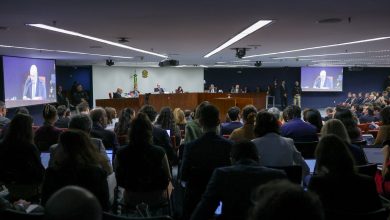 STF enquadra Heleno e advogada nega conhecimento de golpe