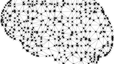 Modelos de AI: personificação ajuda ou atrapalha?