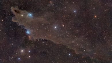 Astrofotógrafo revela imagem de tubarão cósmico em órbita