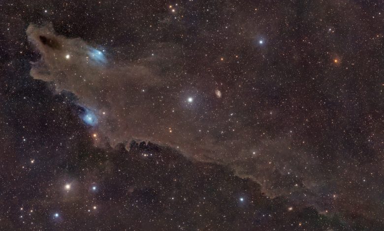 Astrofotógrafo revela imagem de tubarão cósmico em órbita