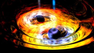 Desvende buracos negros: teste seu conhecimento gravitacional