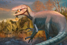 Descoberta revela dinossauro gigante com garra e presa de crocodilo