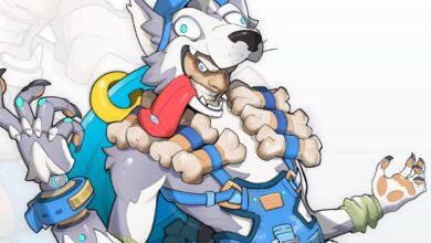 Overwatch 2 seleciona pele furra para concurso de skins