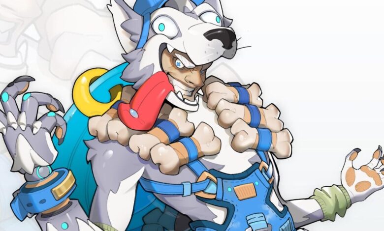 Overwatch 2 seleciona pele furra para concurso de skins