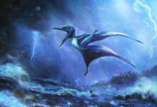 Cientistas identificam morte de pterossauros em tempestade, revela estudo