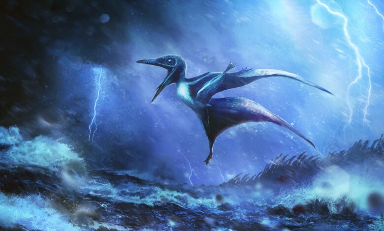 Cientistas identificam morte de pterossauros em tempestade, revela estudo