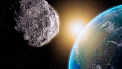 NASA transmite passagem de asteroide a 23 mil km da Terra
