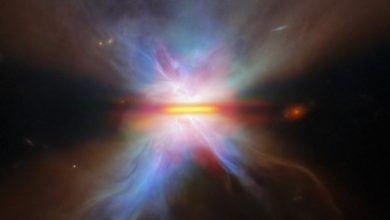 NASA registra imagem de estrela borboleta em órbita