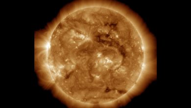 NASA prepara quiz sobre o sol e suas interações espaciais