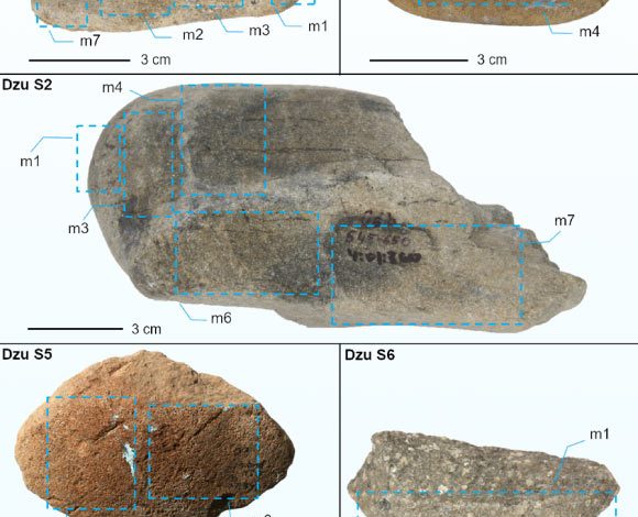 Five pebbles from Dzudzuana Cave, Georgia. Image credit: Longo et al., doi: 10.1371/journal.pone.0321262.