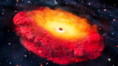 An artist’s impression of CAPERS-LRD-z9. Image credit: Erik Zumalt, University of Texas at Austin.