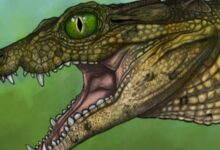 Pesquisa revela fóssil de crocodilo de 95 milhões de anos
