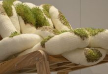 Biophilic design: 5 tendências em plantas funcionais