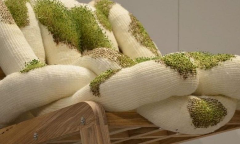 Biophilic design: 5 tendências em plantas funcionais