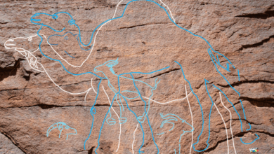 Descoberta revela arte rupestre e antigos oásis no deserto