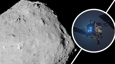 NASA encontra água fluida no asteroide Ryugu