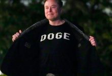 Google diz que DOGE nunca existiu e impacta cultura gamer
