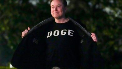 Google diz que DOGE nunca existiu e impacta cultura gamer